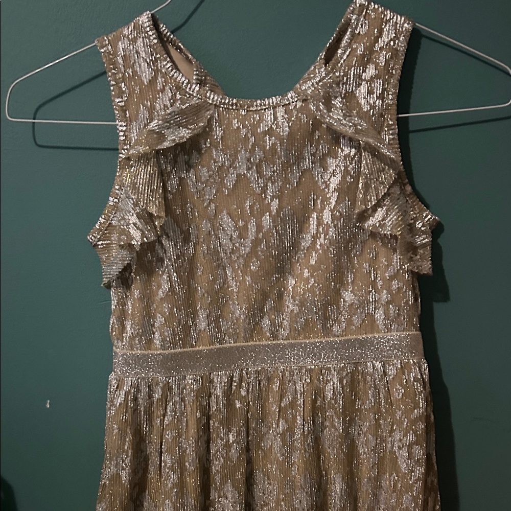 Elegant Gold and Silver Lace Dress